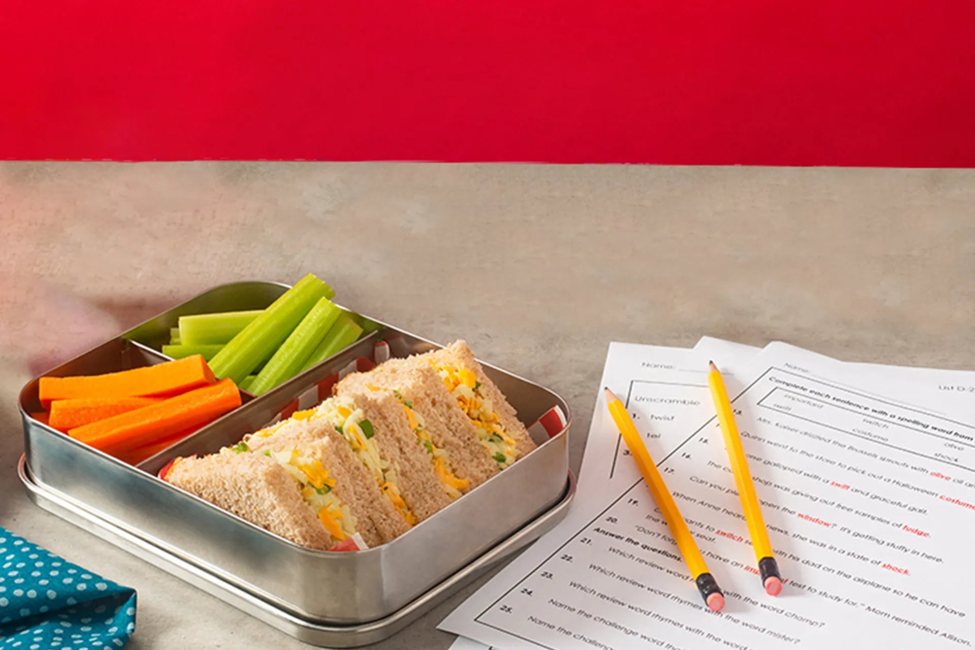 Cheese and Apple Slaw Sandwich