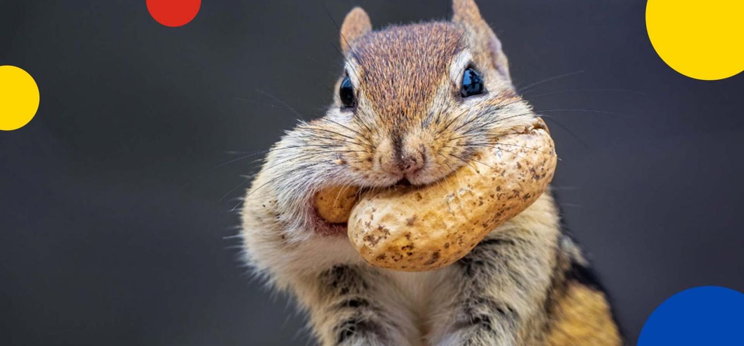 Peanut Butter – a “No-Go” for the classroom