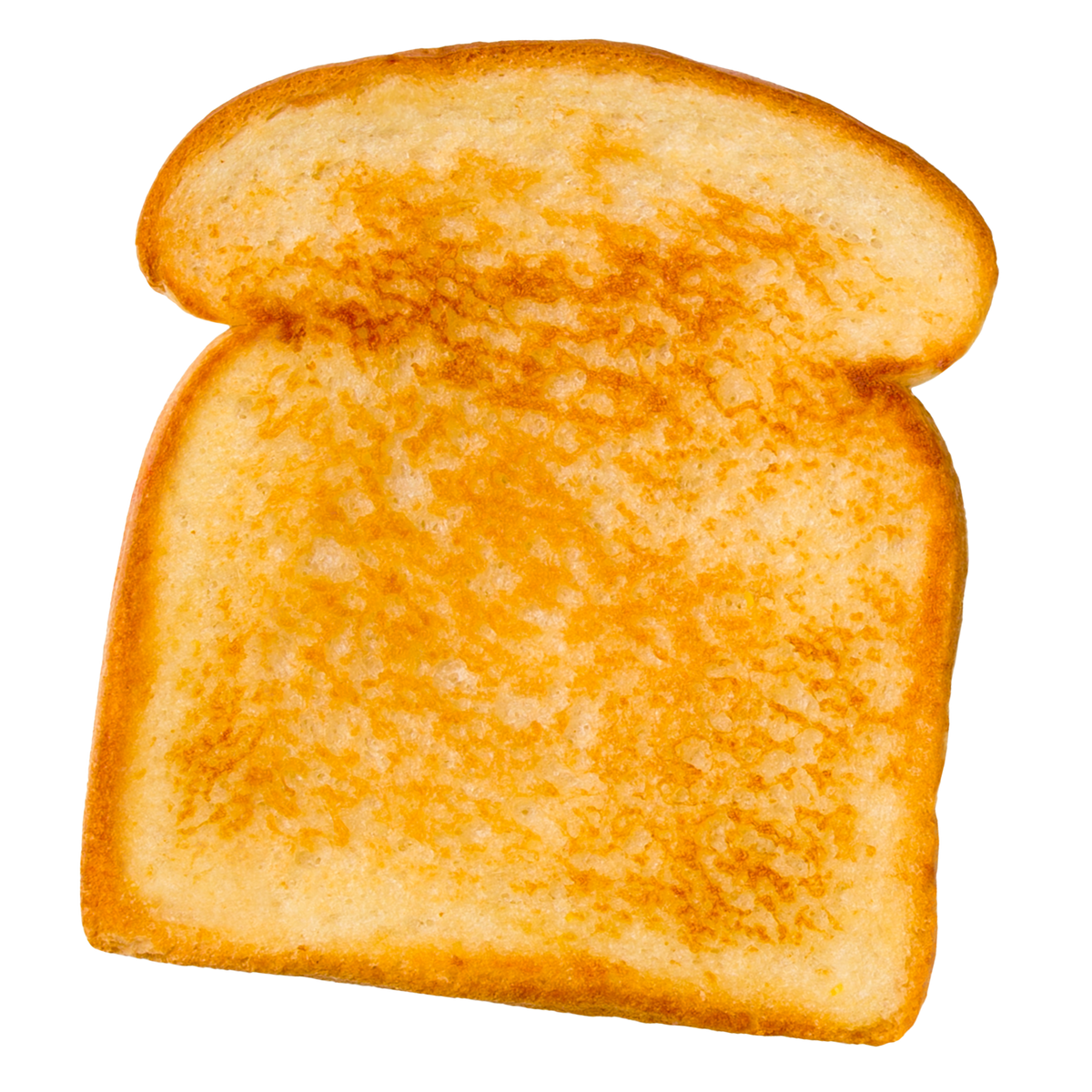 Toasted bread slice on a white background